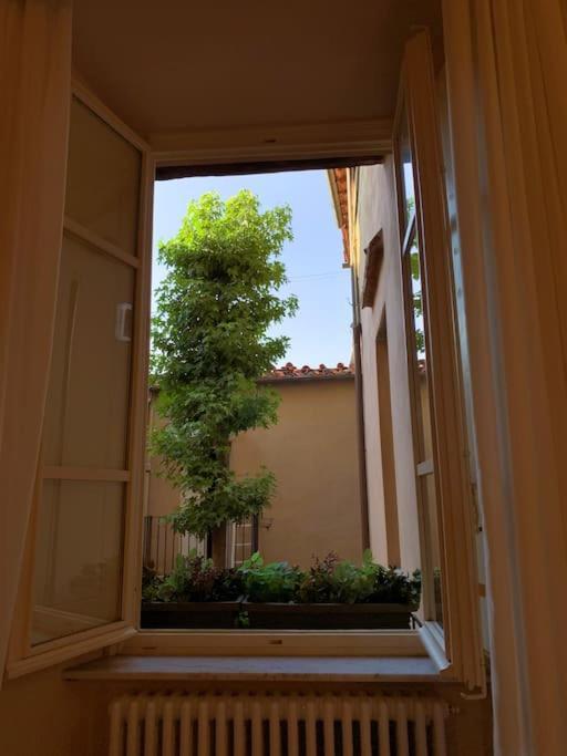 Via Nuova Apartments Lucca Esterno foto